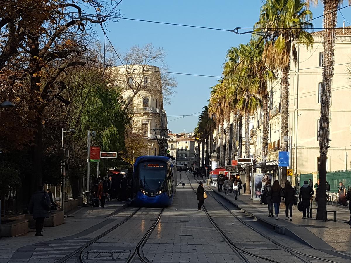 Hotel Saint Roch Montpellier Centre Εξωτερικό φωτογραφία